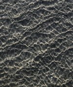 IMG_7149.jpeg