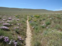 rattlesnake mt.JPG