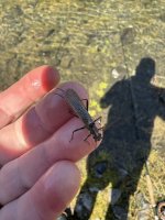 IMG_0656.jpeg