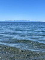 IMG_6227.jpg