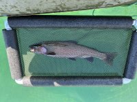 IMG_8860.jpeg