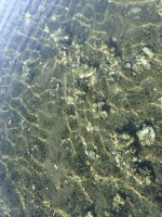 IMG_7154.jpeg IMG_7154.jpeg