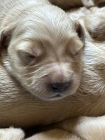 IMG_0050.jpeg
