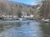 IMG_7275[1].JPG