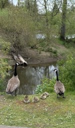 IMG_3181.jpeg