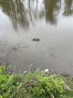 IMG_3182.jpeg
