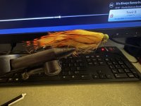 IMG_0703.jpeg