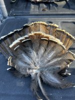 IMG_1327.jpeg