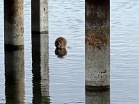 IMG_2370.jpeg
