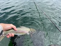 IMG_2374.jpeg