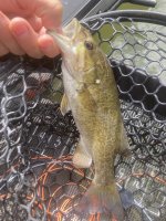 IMG_8697.jpeg