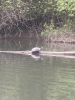 IMG_8699.jpeg