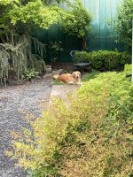 IMG_4081.jpeg