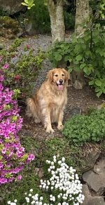 IMG_4080.jpeg