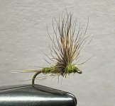 IMG_0767.jpeg
