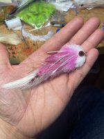 IMG_5470.jpeg