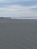 IMG_3931.jpeg