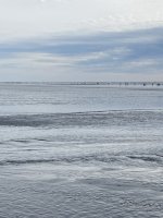 IMG_3930.jpeg