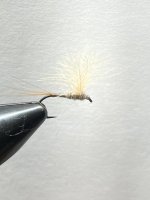 IMG_0769.jpeg