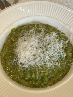 IMG_8872.jpeg