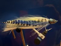 IMG_0418.jpeg