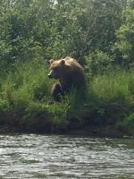 IMG_8295.jpeg
