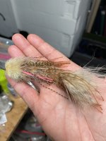 IMG_5479.jpeg