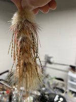 IMG_5478.jpeg