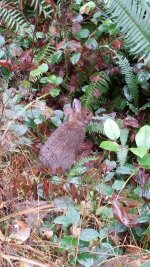 20181115_131058.jpg