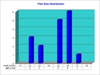 Fish Size Distribution 2024-04-26.jpg Fish Size Distribution 2024-04-26.jpg