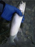 IMG_7331.jpeg