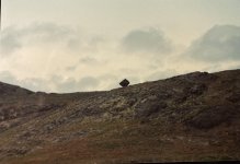 IMG_5444.jpeg IMG_5444.jpeg