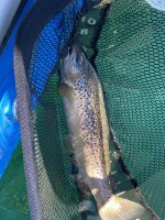 IMG_5269.jpeg IMG_5269.jpeg