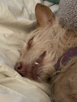 IMG_1278.jpeg IMG_1278.jpeg