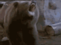 chuck-norris-walker-texas-ranger.gif chuck-norris-walker-texas-ranger.gif