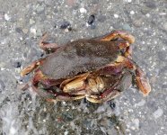 IMG_7372.jpeg IMG_7372.jpeg
