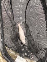IMG_6580.jpeg