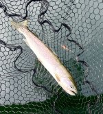 IMG_4898.jpeg IMG_4898.jpeg