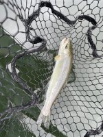 IMG_4831.jpeg IMG_4831.jpeg