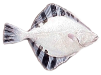 1714411442080.png 1714411442080.png
