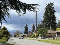 IMG_7387.jpeg