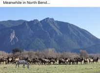 IMG_7395.jpeg IMG_7395.jpeg