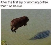IMG_7394.jpeg