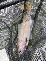 IMG_4027.jpeg IMG_4027.jpeg
