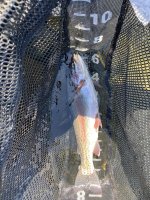 IMG_3089.jpeg