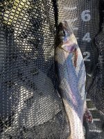 IMG_3088.jpeg