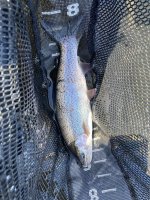 IMG_3087.jpeg