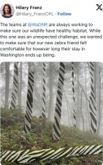 IMG_7433.jpeg
