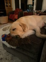 IMG_6279.jpeg IMG_6279.jpeg