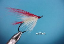 Altima.jpg